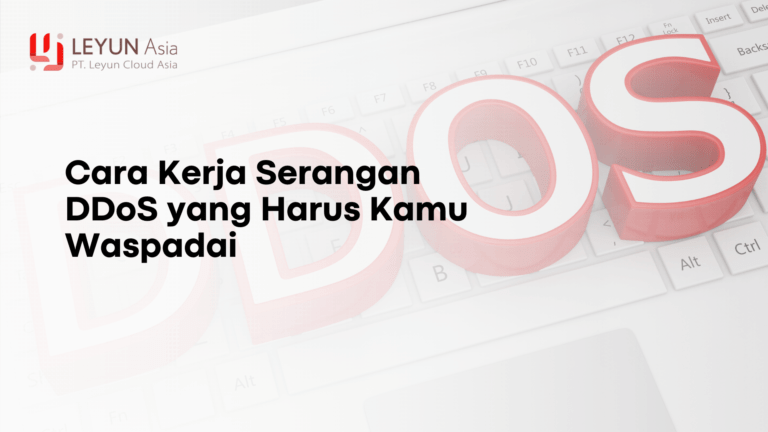 Cara kerja ddos