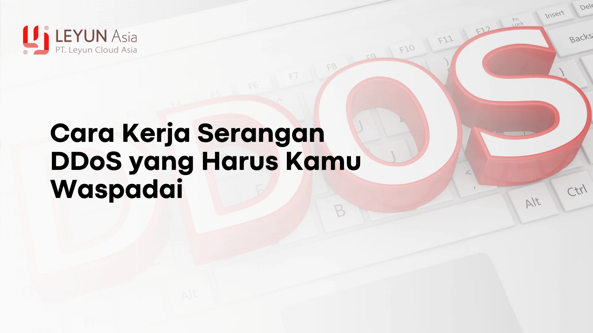 Cara kerja ddos